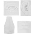 thumbnail image 4 of MOVTOTOP White Gypsum Sketch Model for DIY Practice Tools Perfect for Home Decoration Lightweight Realistic, 4 of 8