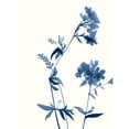 thumbnail image 3 of Goldberger, Jennifer 15x18 Black Modern Framed Museum Art Print Titled - Indigo Wildflowers II, 3 of 5