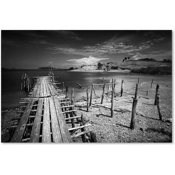 Trademark Fine Art Michael De Guzman Reach Canvas Wall Art - 12x19