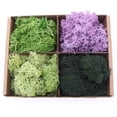 thumbnail image 4 of Tnobhg 1 Bag Simulation Moss Vibrant Realistic Doll House Artificial Moss Green Plants for Miniature Scenes DIY Projects, 4 of 8