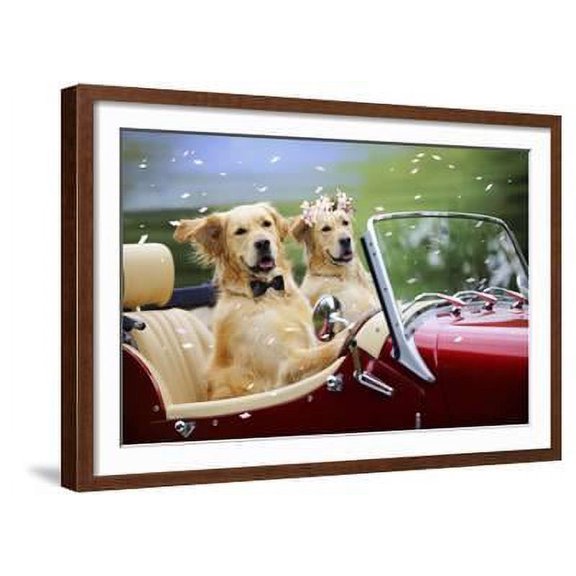 Golden Retriever Dog Wedding Couple in Car with Confetti, Animals Figurative Transportation Framed Art Print Wall Art Sold by Art.Com