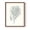 Brown, variant on Antique Coastal Coral I Framed Print in Pink Solid Wood Framed Print No Nail Hanging