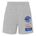 thumbnail image 3 of Infant Red/Heather Gray Chicago Cubs Ground Out Baller Raglan T-Shirt and Shorts Set, 3 of 3