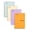 Pastel Colors (Green Tint Paper) - Gregg, variant on Steno Books, Primary Colors 4 Pack (Graph, Gregg, Narrow Ruling)