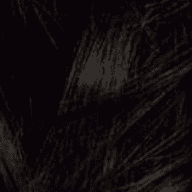 3 Brown Black