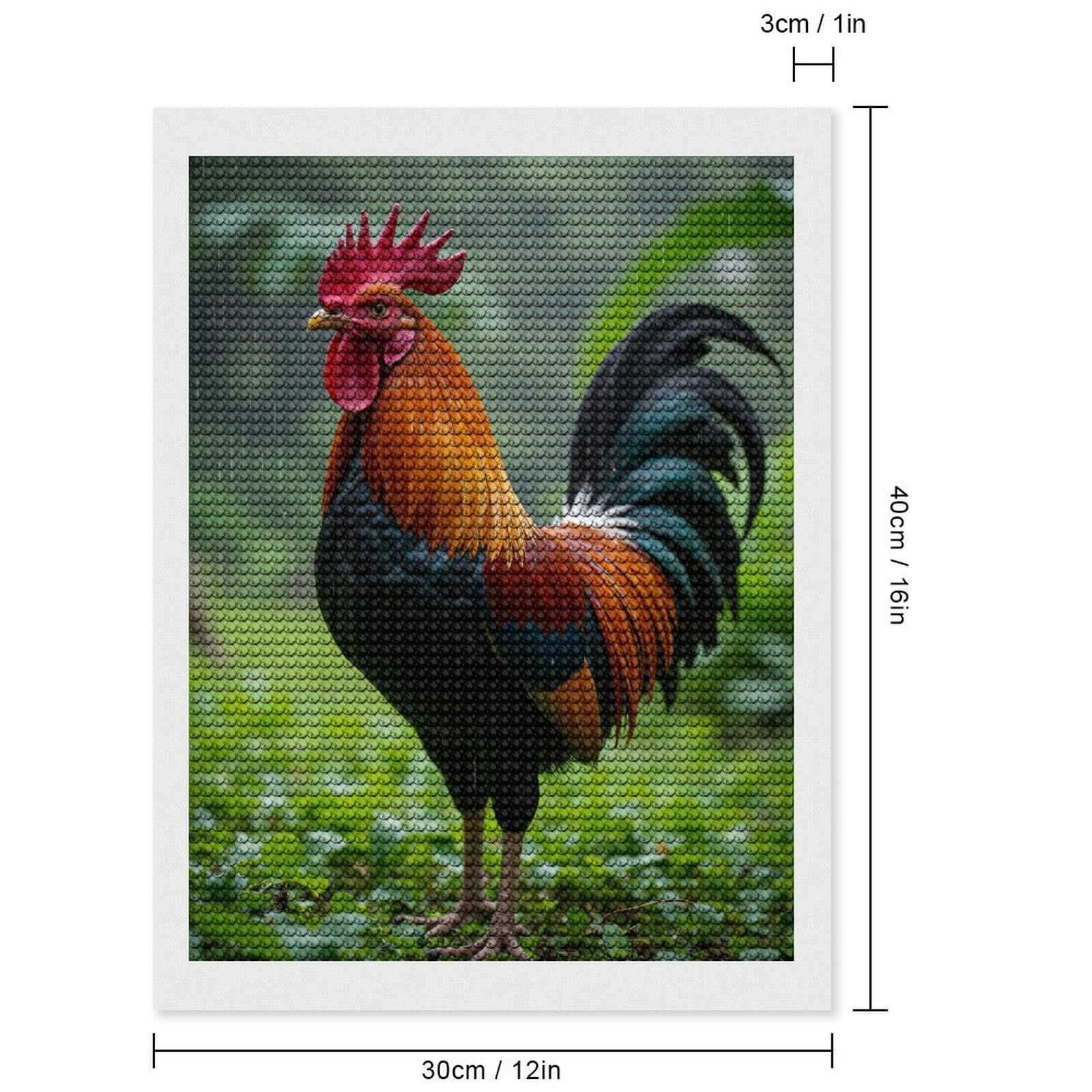 Diamond Art Kits for Adults, Rooster Rain Colorful Plumage 5D Diamond Painting Kits for Adults Beginners, DIY Full Drill Diamond Painting, Gem Art and Crafts 12x16