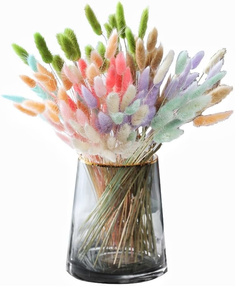 Natural Dried Bunny Tail Grass Real Flower Eternal Flower Lagurus Ovatus Dry Grass Dried Flowers Pampas Grass Bouquet Rabbit Tail Grass Stems forHome Decor and Fall Theme Decorati(7"/White)