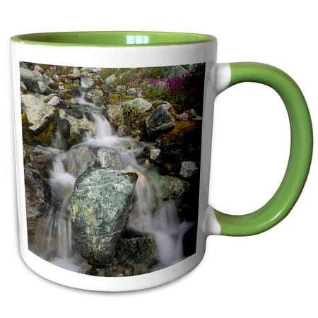 - 3dRose Alaska, Glacier Bay National Park. Small stream cascade. - Two Tone Green Mug, 11-ounce