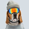 thumbnail image 3 of Gafas de sol para perros gafas para perros correa ajustable anticaída resistente al viento para conducir ANGGREK Otros, 3 of 8