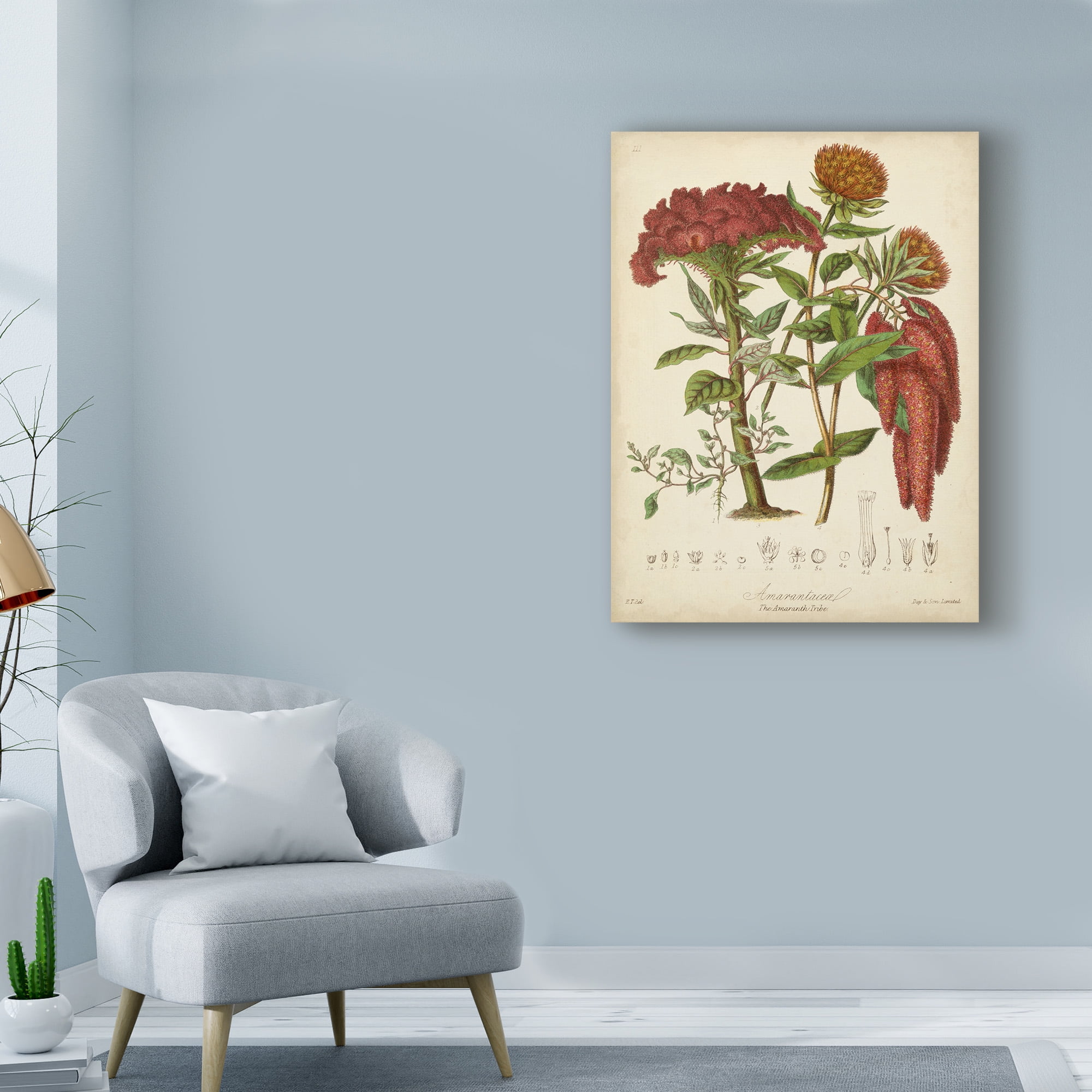 Trademark Fine Art 'Twining Botanicals II' Canvas Art by Elizabeth Twining