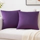 thumbnail image 1 of Cterwk - Juego de 2 fundas de almohada decorativas de terciopelo suave para sofá cama, 61 x 61 cm, 1 of 8