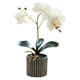 thumbnail image 1 of Bearachild Flor de orquídea artificial bonsái maceta Phalaenopsis maceta decoración del hogar Color brillante estatuilla falsa interior blanco Type3 NO3, 1 of 6