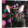 thumbnail image 1 of ARTCANVAS Havana Brown Cat Breed Bokeh Lights Canvas Art Print - Size: 18" x 18" (1.50" Deep), 1 of 9