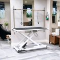thumbnail image 3 of Pefilos 50" Heavy Duty Electric Lifting Pet Grooming Tables for Large Dogs, 110V/220V Professional Hydraulic Trimming Table, Height Adjust from 8" up to 36", White, 3 of 13