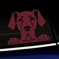 thumbnail image 1 of Peeking Great Dane - Vinyl Decal - Choose Color - [BURGUNDY], 1 of 1