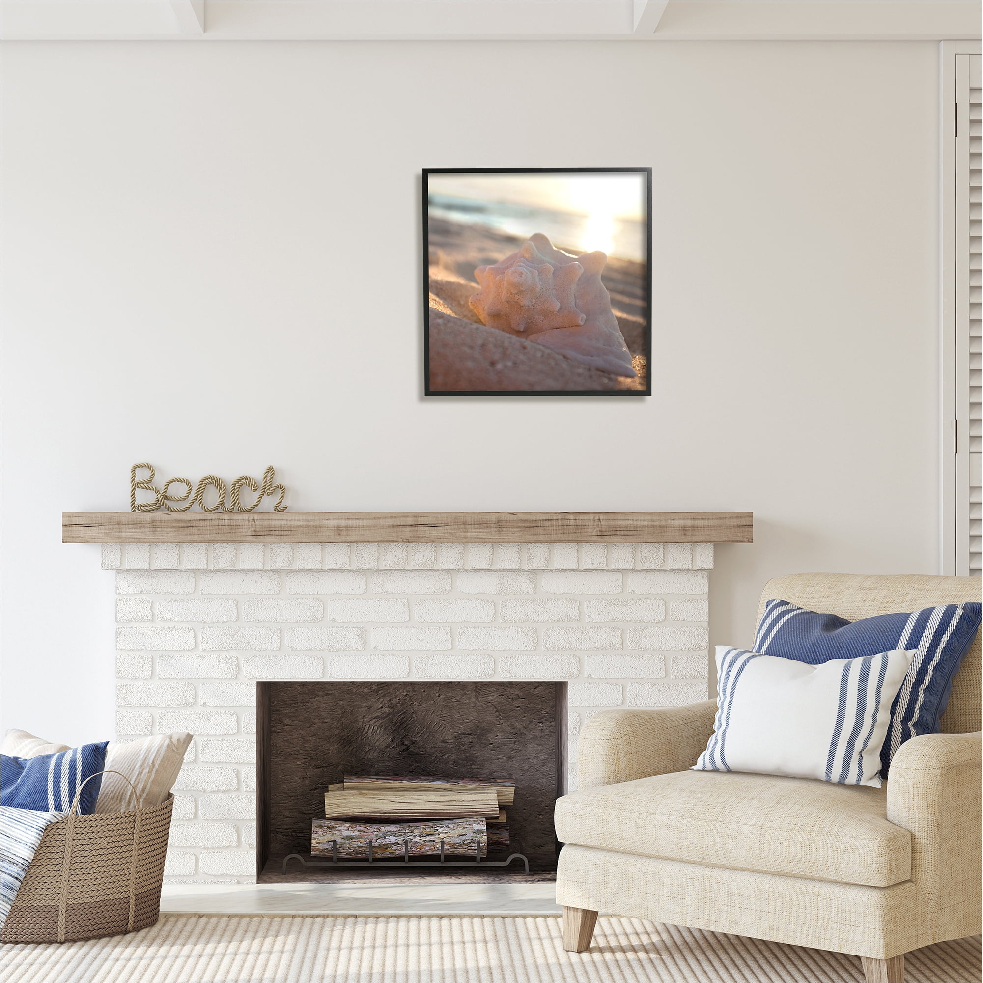 Stupell Industries Sunlit Conch Shell Nature Photography Black Framed Art Print Wall Art, 24 x 24