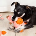 thumbnail image 2 of Cuddly Plush Pig Toy - Perfect for Dogs, Cats & Other Pets!, 2 of 5