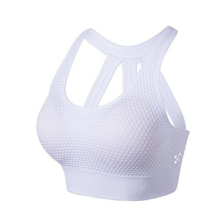 

Alpha C Apparel Women Breathable Push up Sports Bra