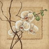 Dimensions Counted Cross Stitch Kit 12"X12"-Oriental Orchids (14 Count)