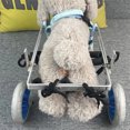 thumbnail image 4 of Aluminum Alloy Disability Pet Hind Limb Booster Cart Teddy Golden Hair Hind Leg Assistance Exercise Brace Walker ShopWise Round, 4 of 11