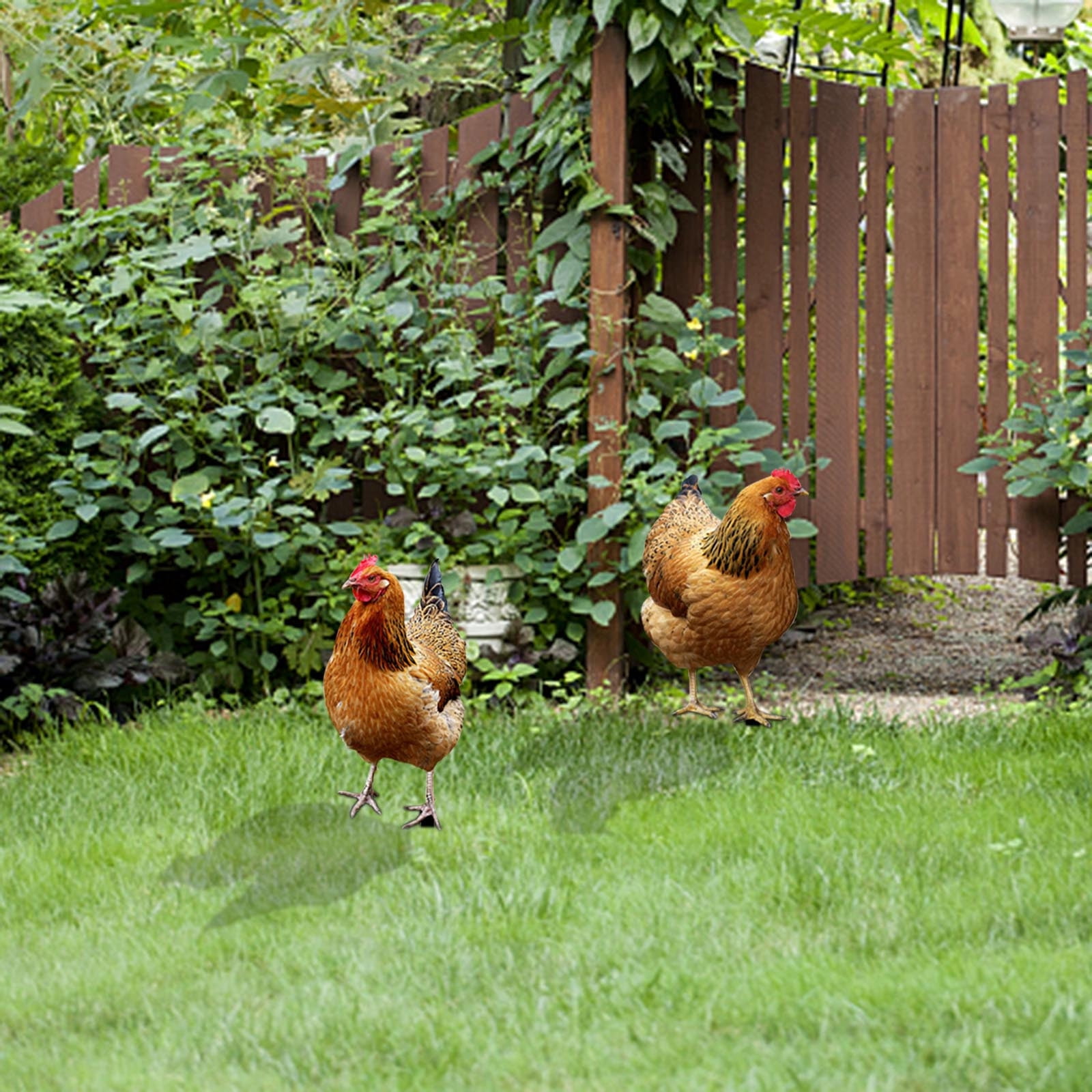 Garden Roster TERGAYEE Rooster Decor Yard,Art Rooster Garden Decor Singapore | Ubuy