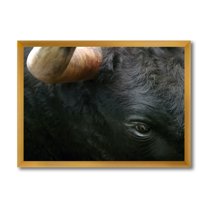 Designart 'Close-Up Of Eye Fighting Bull Head ' Farmhouse Framed Art Print