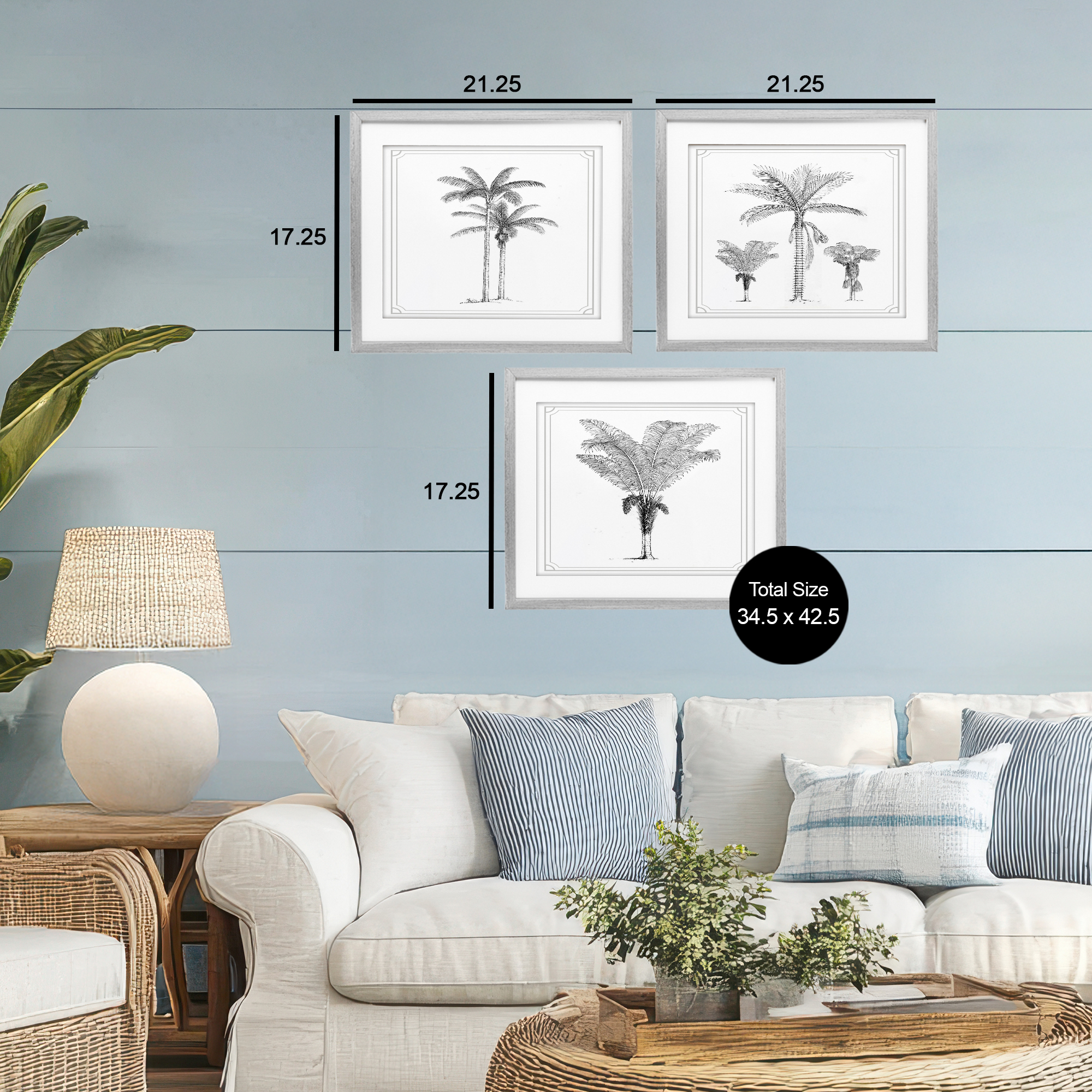 Minimal Vintage Palm Tree Sketches 3 Piece Gray Framed Print Under Glass Set, design by Lettered and Lined