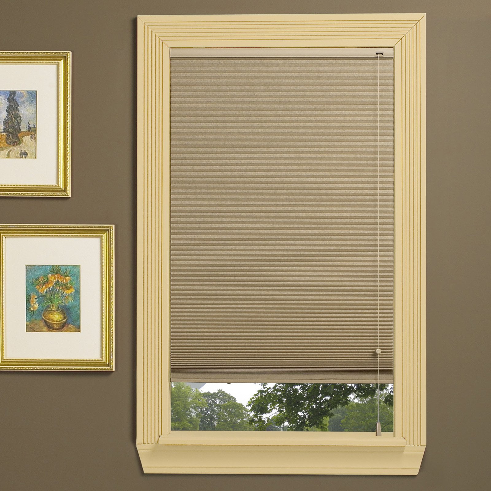 Cellular Pleated Shades