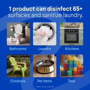 Clorox Disinfecting Liquid Bleach Cleaner, Regular Scent, 43 fl oz