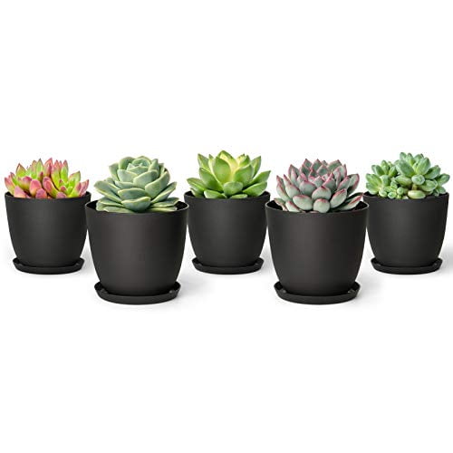Mkono 4.5" Plastic Succulent Planters with Saucers, Indoor Set of 5 Nursery Pots Modern Flower Plant Pot with Drainage for All Small House Plants, Herbs, Foliage Plant, and Seedling, Black