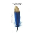 thumbnail image 6 of BalsaCircle 30 Navy Blue 9" Metallic Gold Tip Natural Decorations Goose Feathers, 6 of 6