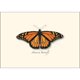 thumbnail image 2 of Juego de 8 Tarjetas de Notas Earth Sky + Water con Mariposa Monarca, 2 of 3