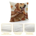 thumbnail image 4 of Qinduosi Fall Pillow Cover Golden Dog Decorations Thanksgiving Autumn Farmhouse Seasonal Decor Cushion Case for Sofa Couch White, 4 of 5