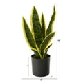thumbnail image 2 of Nearly Natural 14in. Sansevieria Plastic Artificial Plant, Green, 2 of 4