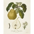 thumbnail image 2 of de Langlois  12x14 Black Ornate Wood Framed with Double Matting Museum Art Print Titled - Vintage Pears I, 2 of 4