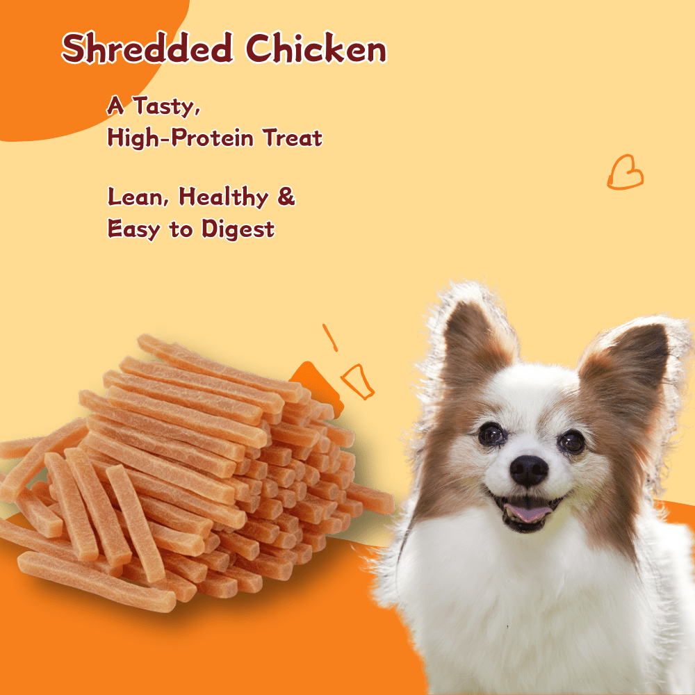 TenderTouch Tender Shredded Chicken, All-Natural Dog Treats, 1.76 Pound