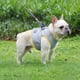 thumbnail image 3 of Arnés de enfriamiento de verano para mascotas, chaleco transpirable para la espalda y el pecho, correa para el pecho, arnés transpirable para cachorros de perro, talla XS, 3 of 6