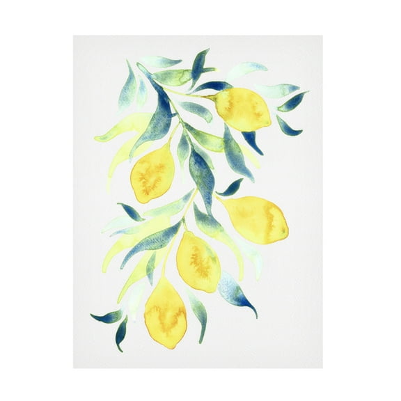 Canvas Wall Art - Cami Juncos 'Watercolor Lemons' Wall Art for Living Room, Bedroom, or Office Décor by Trademark Fine Art - 14 x 19 Inches