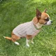 thumbnail image 2 of Ropa Suéter Tejido Perro Chico, 2 of 4