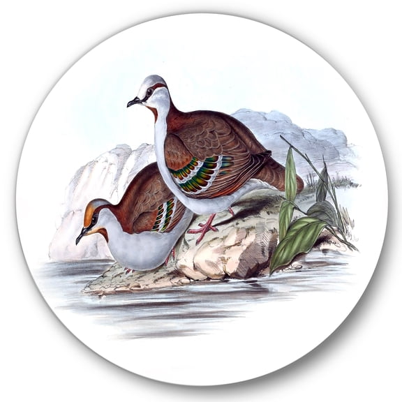 Designart 'Ancient Australian Birds IX' Traditional Circle Metal Wall Art 36x36 - Disc of 36