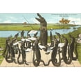 thumbnail image 2 of Art.com Alligator Chorus in New Orleans, Louisiana Stretched Canvas Print Wall Art, 36" x 24", 2 of 4