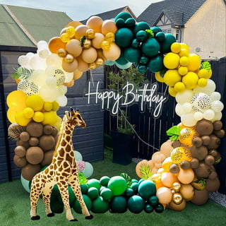 LA GRANJA DE ZENON Supply Birthday  Party Decorations Set serves 10 for  Creating Theme Party 