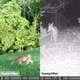 thumbnail image 3 of TFixol 32MP 4K Infrared Waterproof Trail Camera for Wildlife Research, Night Vision, Time-Lapse, and Outdoor Surveillance with IP66 Rating and Solar Power Option, 3 of 6