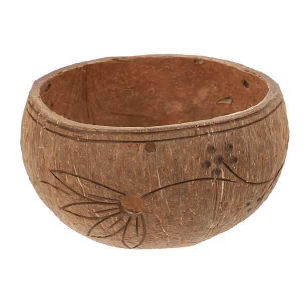 KAKOWELY 1 maceta colgante para decoración de jardín con suculentas, de cáscara de coco.