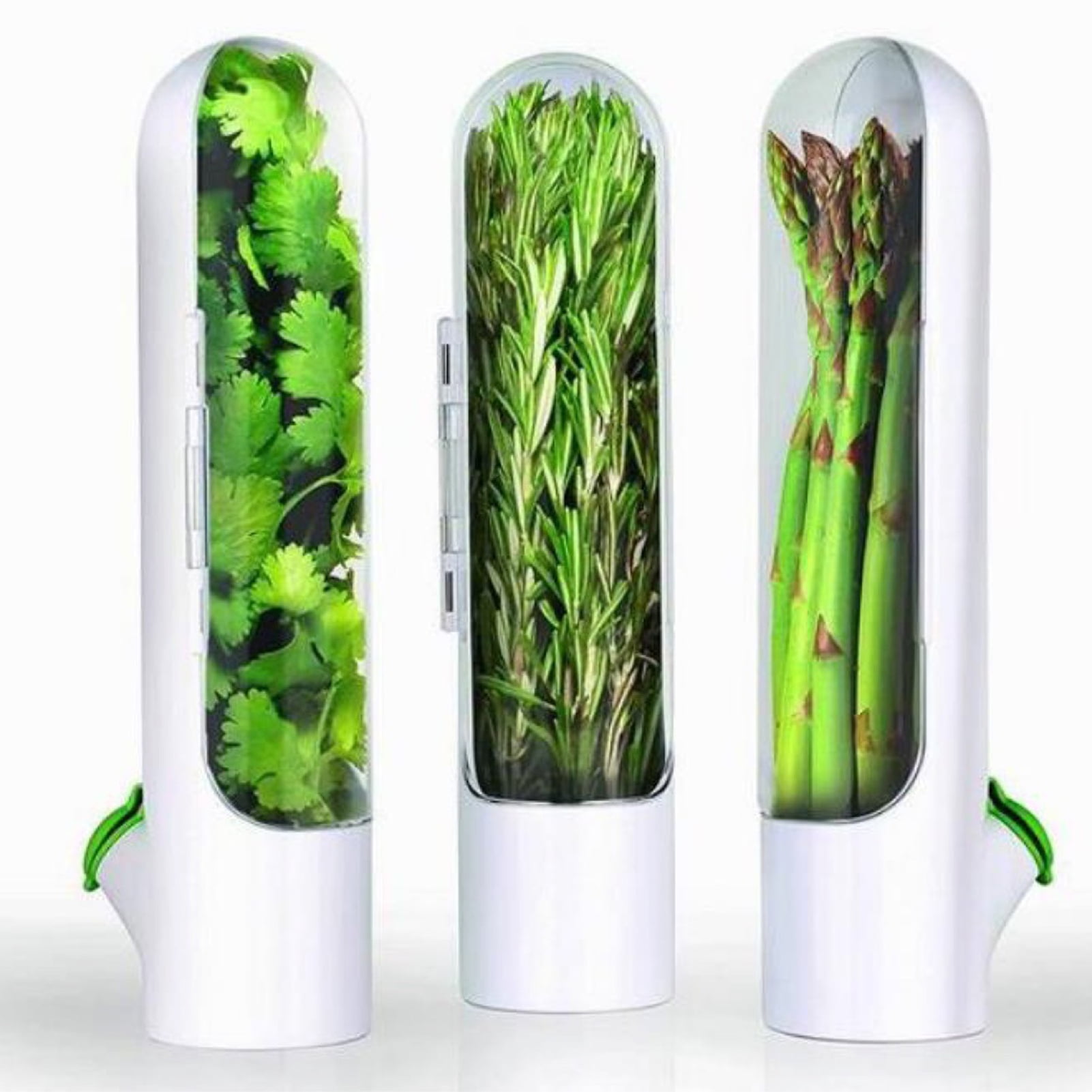 Dream Lifestyle Herb Savor Pod, Lasting Fresh Herb Keeper for