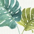 thumbnail image 2 of Gango Home Decor Tropical Mixed Greens LXXV & Mixed Greens LXXVI by Lisa Audit (Ready to Hang); Two 12x12in Hand-Stretched Canvases, 2 of 5