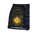 thumbnail image 7 of Harry Potter Hogwarts Marauders Map Men's Boxer Shorts Underwear 17HP173MBX, 7 of 7