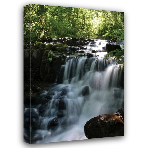 Brian Moore 13x18 Gallery Wrapped Canvas Wall Art Titled - Falls in the Forest II