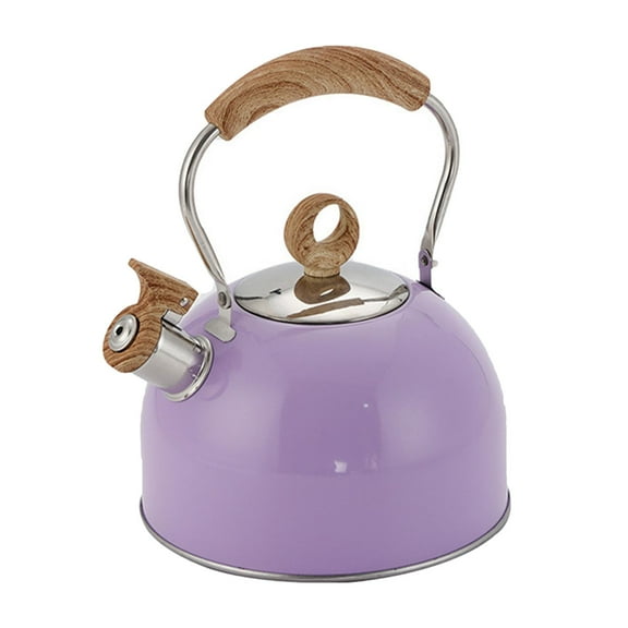 Whistling Tea Kettle Stove Top Stainless Steel Efficient Heating Easy Grip Handle for Family Kitchen