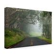 thumbnail image 4 of Trademark Fine Art 'Foggy Road near Dillon Beach' Canvas Art by Mike Jones Photo, 4 of 4